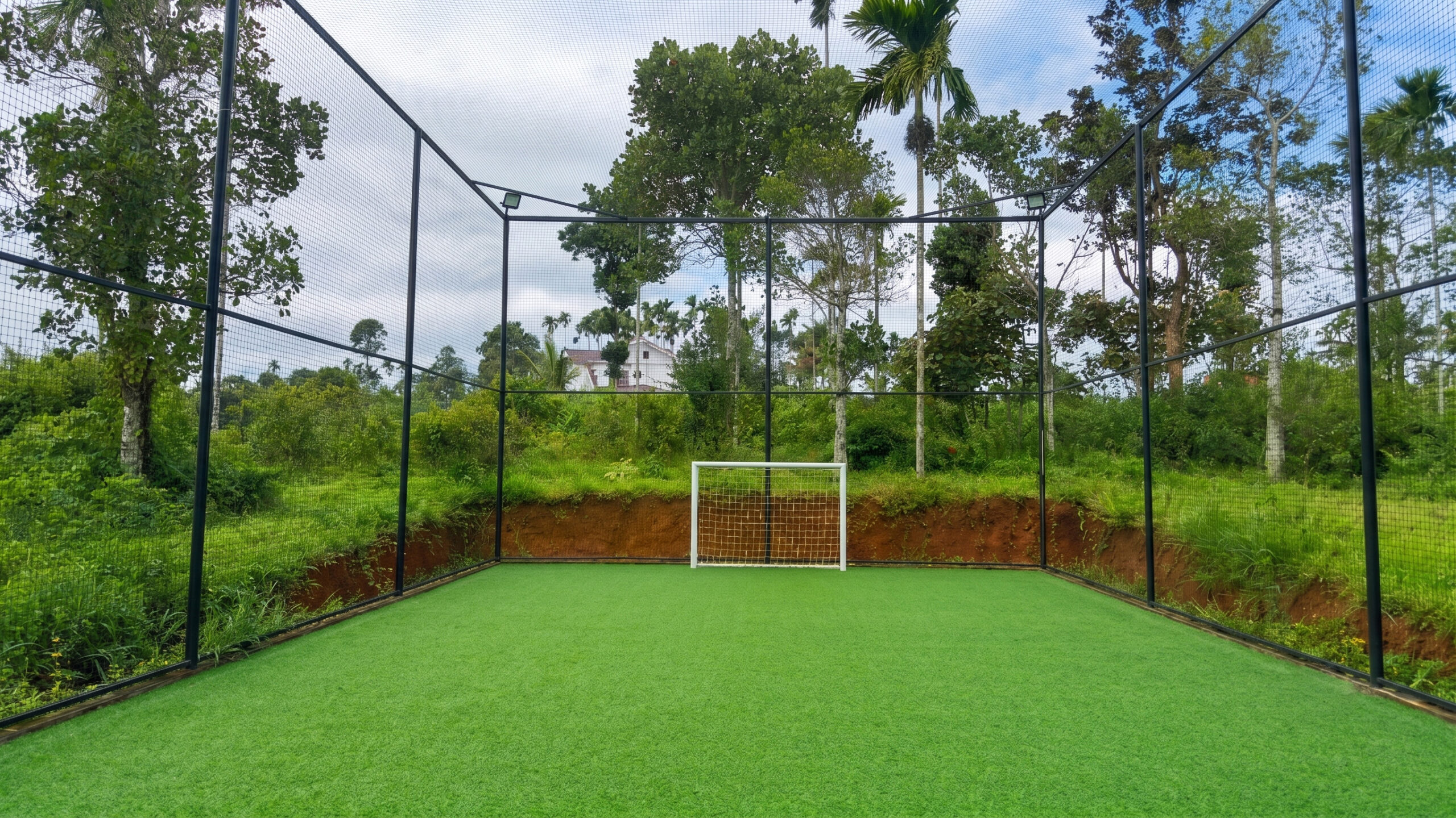 turf
