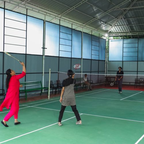 Green ample badminton